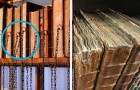 Video Libri