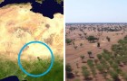 Vidéos sur l' Afrique