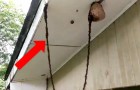 Vídeo de Natureza