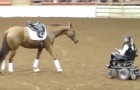 Vídeo de Cavalos