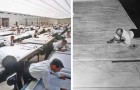 Vidéos d' Histoire
