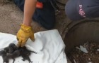 Vídeo Emocionante