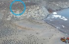 Video di Pinguini