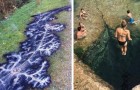 Video Absurde Videos Absurd