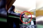 video med Tjuvar