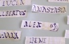 video om Skolan