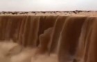 Video Video's Arabië Arabië