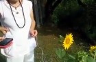 Video Natura