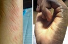 Video Witzige Videos Witzig