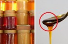 Vidéos d' Aliments