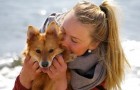 Vidéos d' Animaux