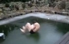 Vidéos de Plantages