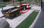 Vídeo de Ladrões