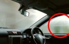 Video Interessante video's Interessante