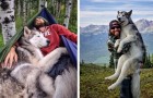 Video Tiervideos Tiere
