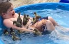 Video Entenvideos Enten