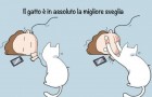 Video Disegno