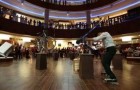 Vidéos d' Artistes