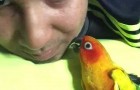 Vidéos de Human Beatbox
