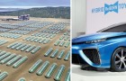 Video di Motori