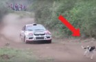 Vidéos de Rally