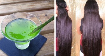 enregistreur rencontre avec le senateur gray