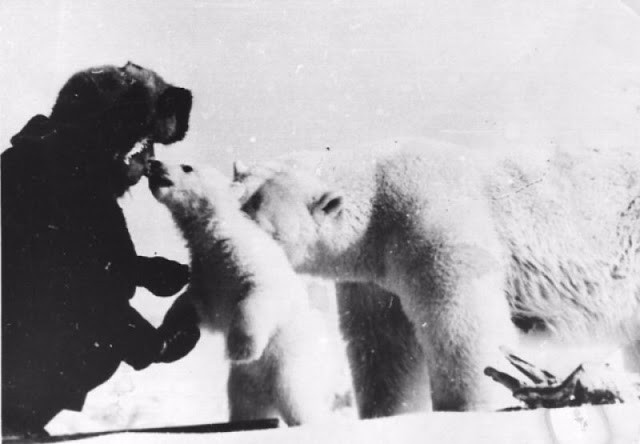rencontre avec un ours