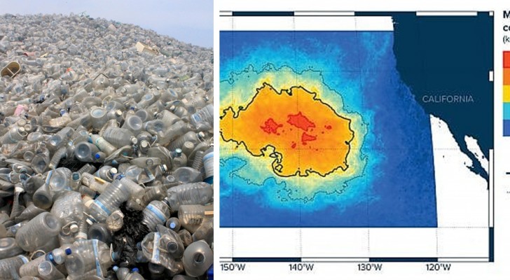 L'île De Plastique Du Pacifique Est Beaucoup Plus Grande Que Nous L ...