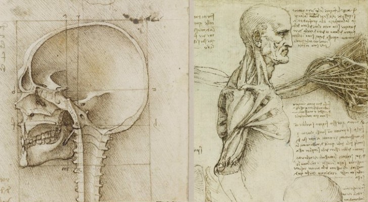 Leonardo's Anatomische Studies Gepubliceerd: Ongelooflijke Ontwerpen